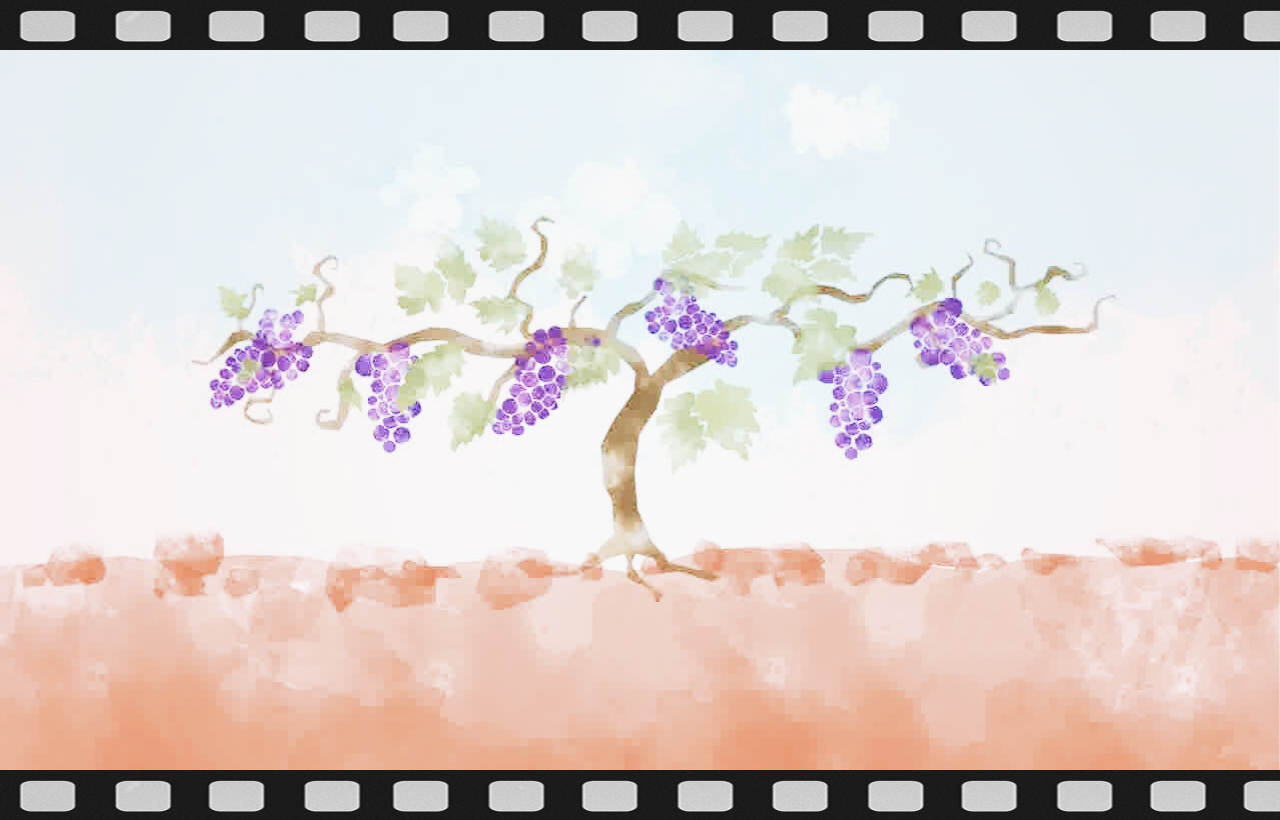 grape to wine